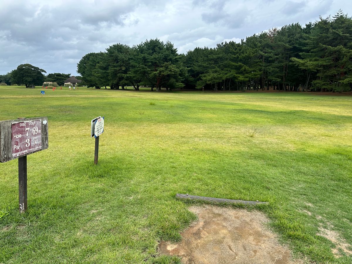 Hole 7