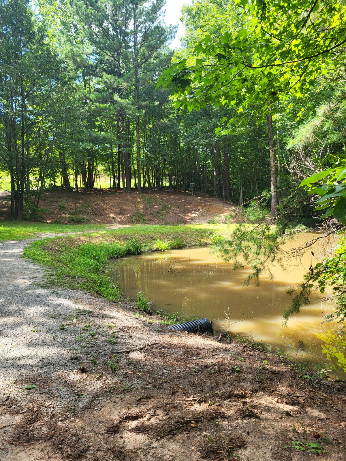 Hole 18 from tee
