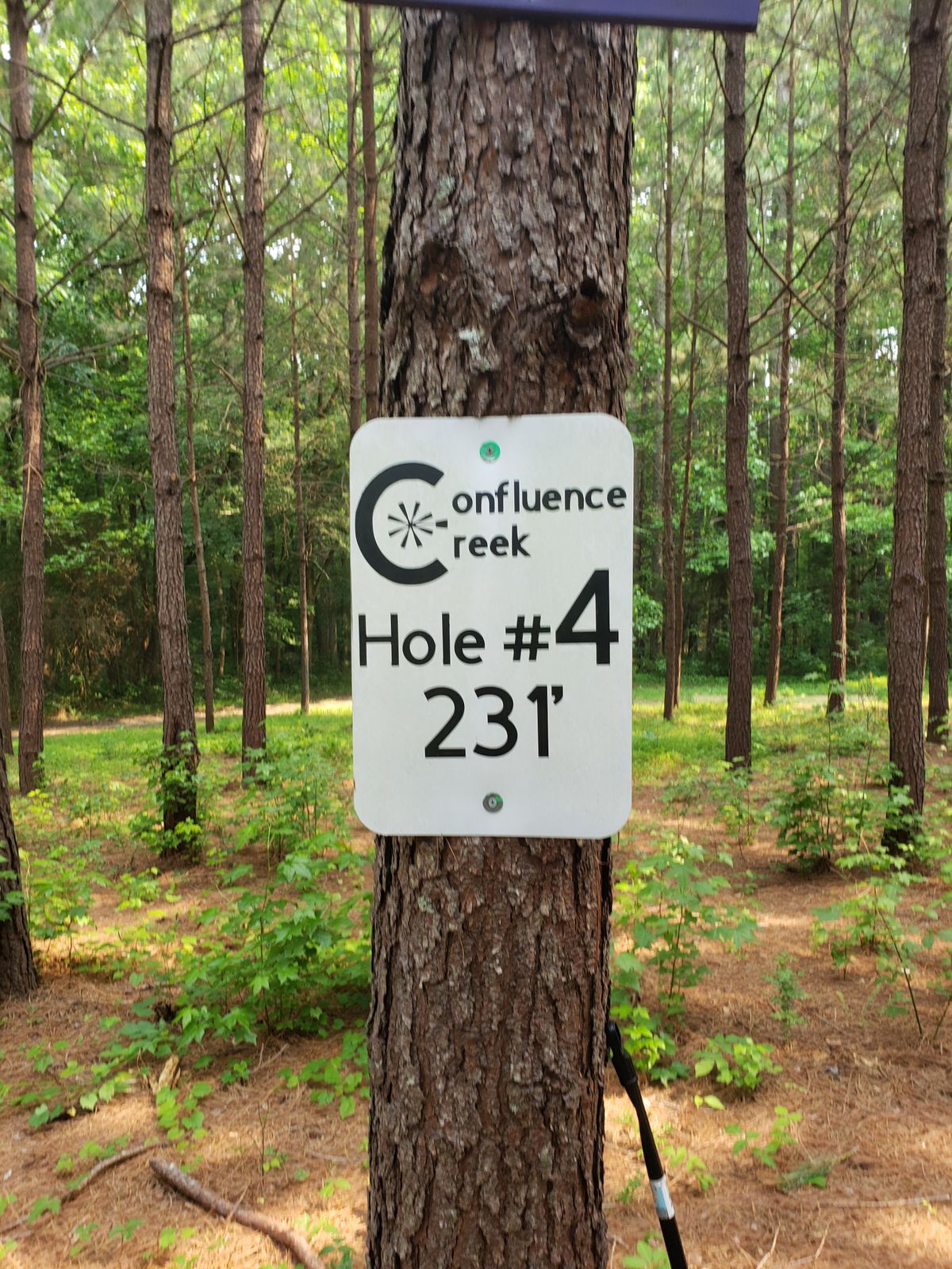 Hole 4 tee sign