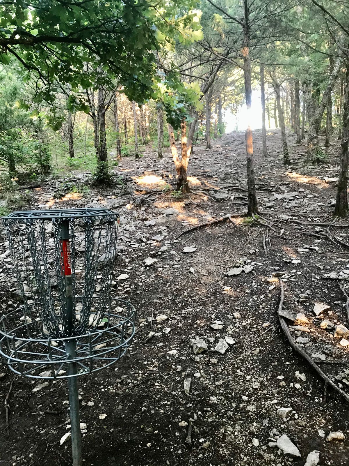 Hole 1 Basket to Tee