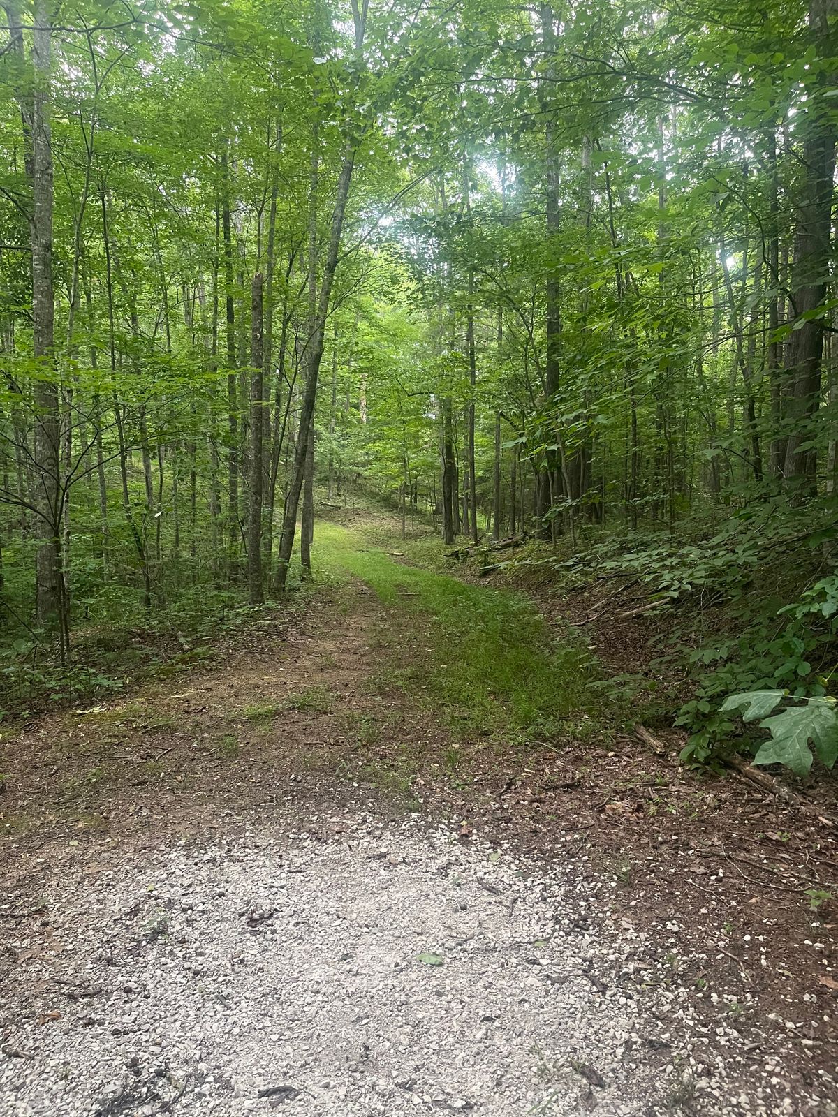 Basket is around the corner to the left up the hill.  Tee for hole 12 is down the road to the right of the basket.  