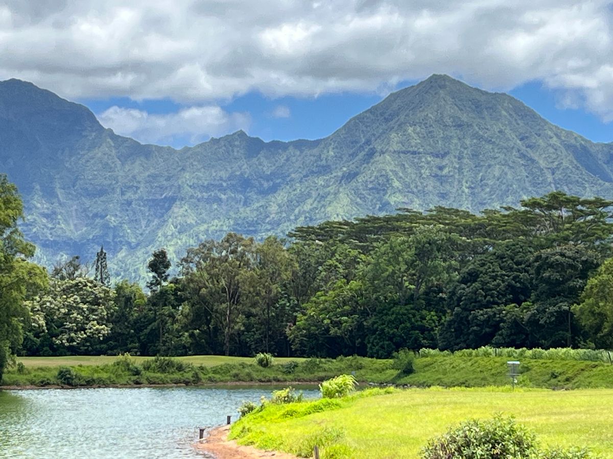 Hole 3 long tee view, incredible!!