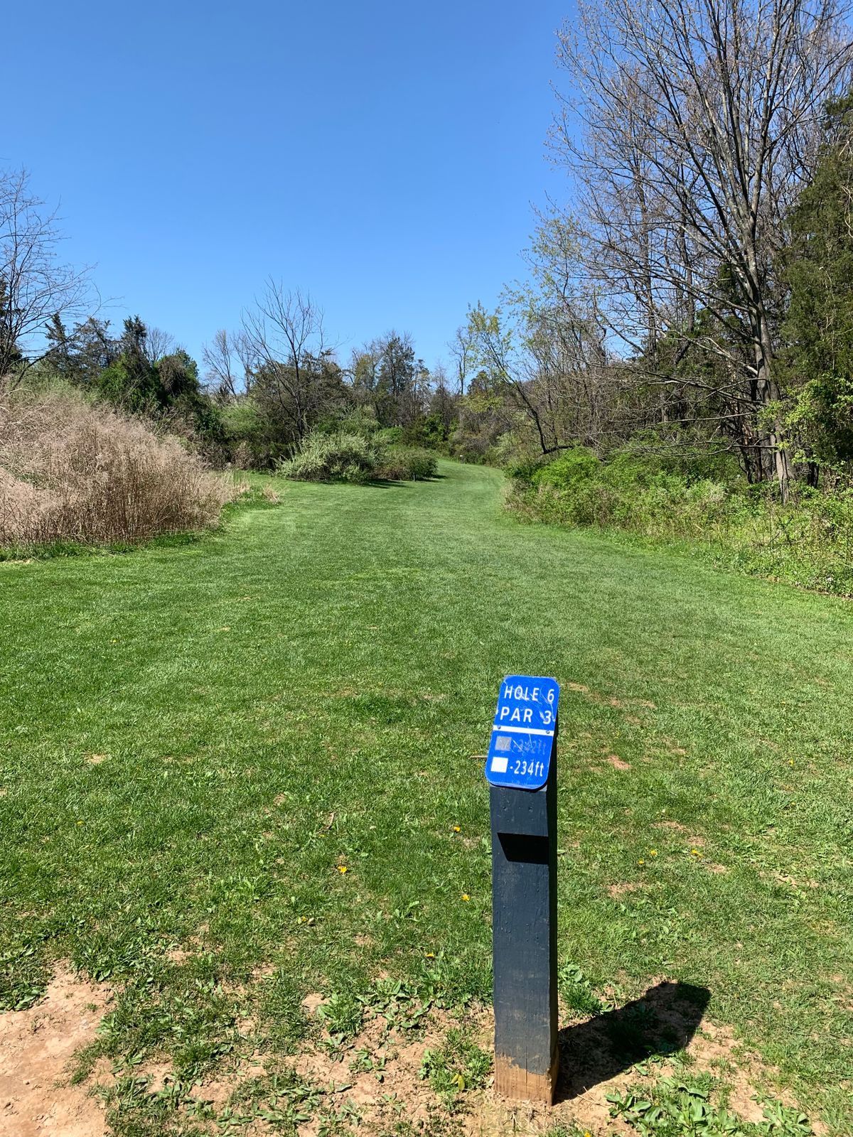 Hole 6 - Blue Tee