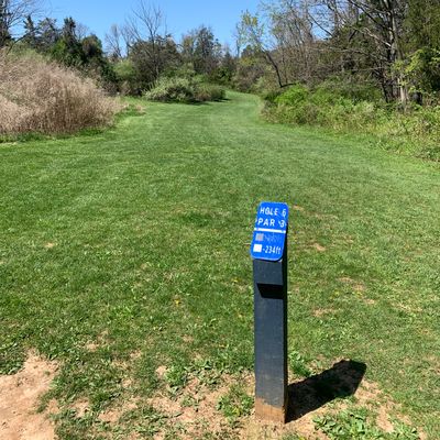 Hole 6 - Blue Tee