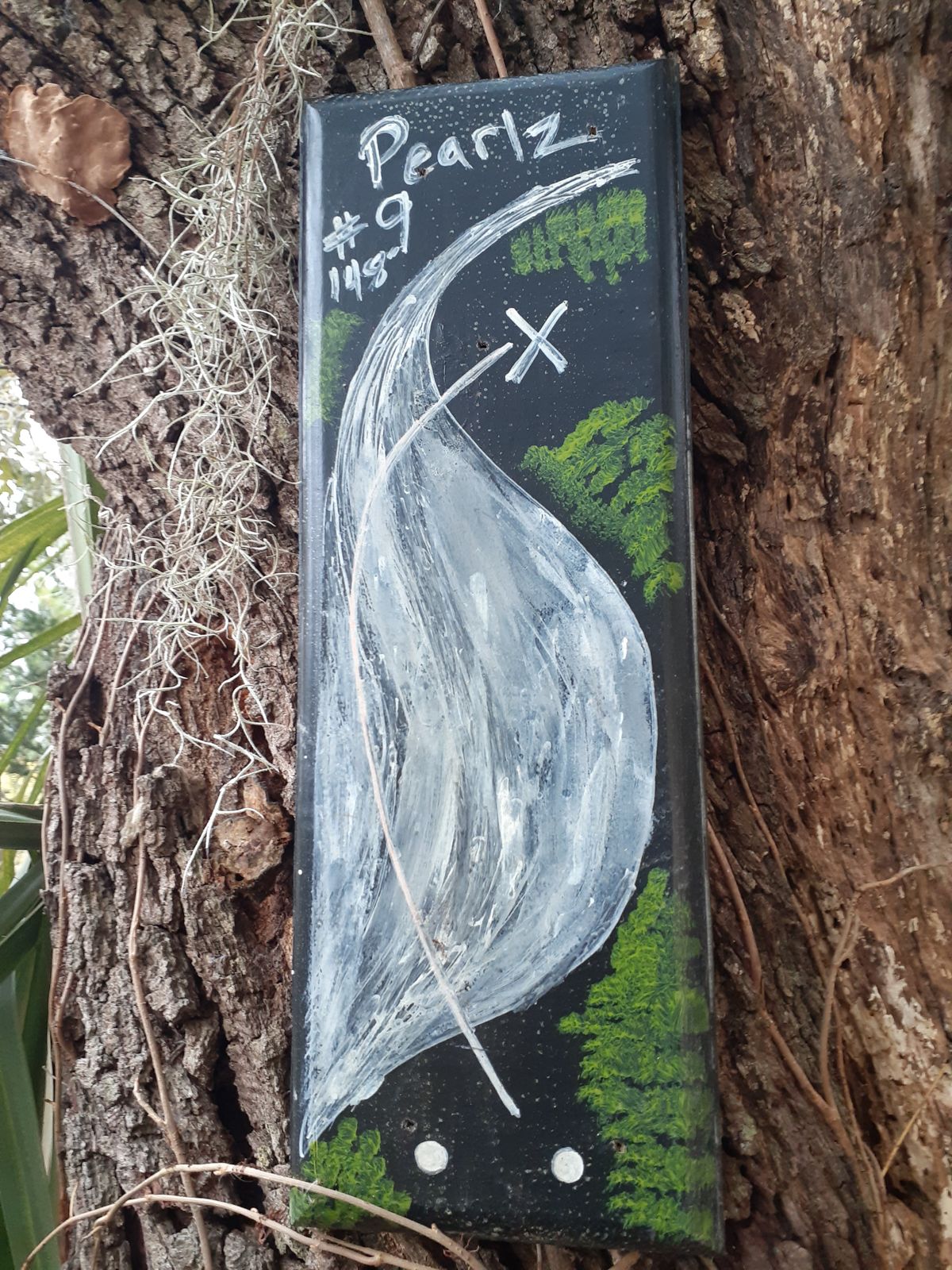 Hole #9, Pearlz