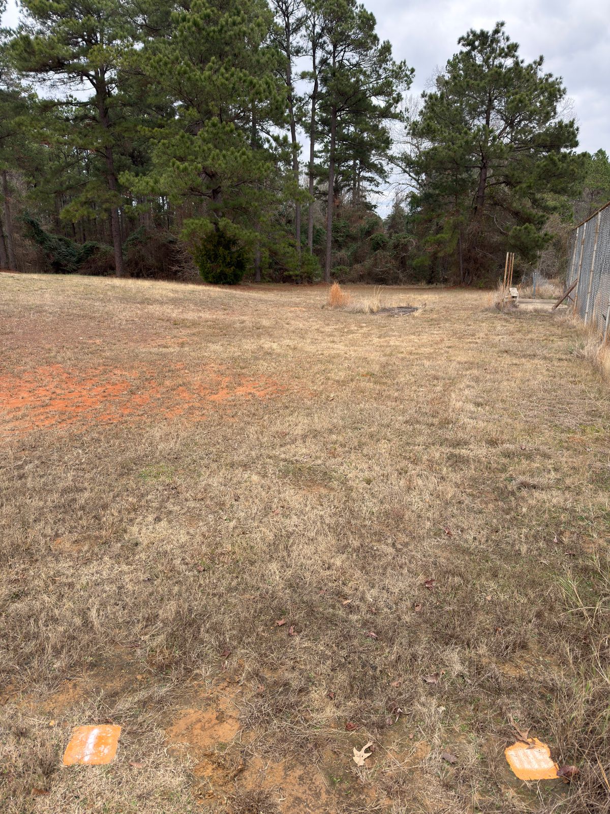 Hole 3, basket behind trees straight ahead