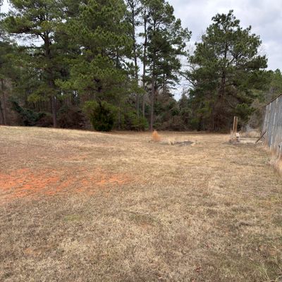 Hole 3, basket behind trees straight ahead