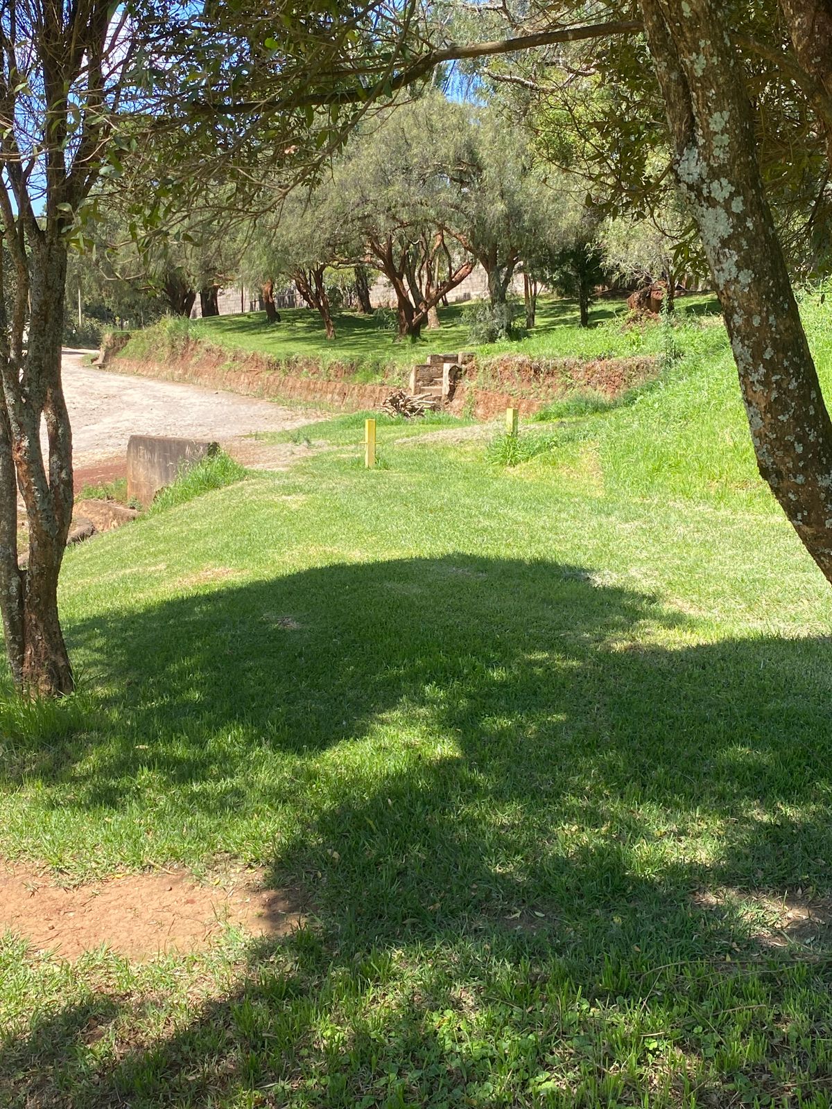 Target of hole 7 (Left yellow bollard)