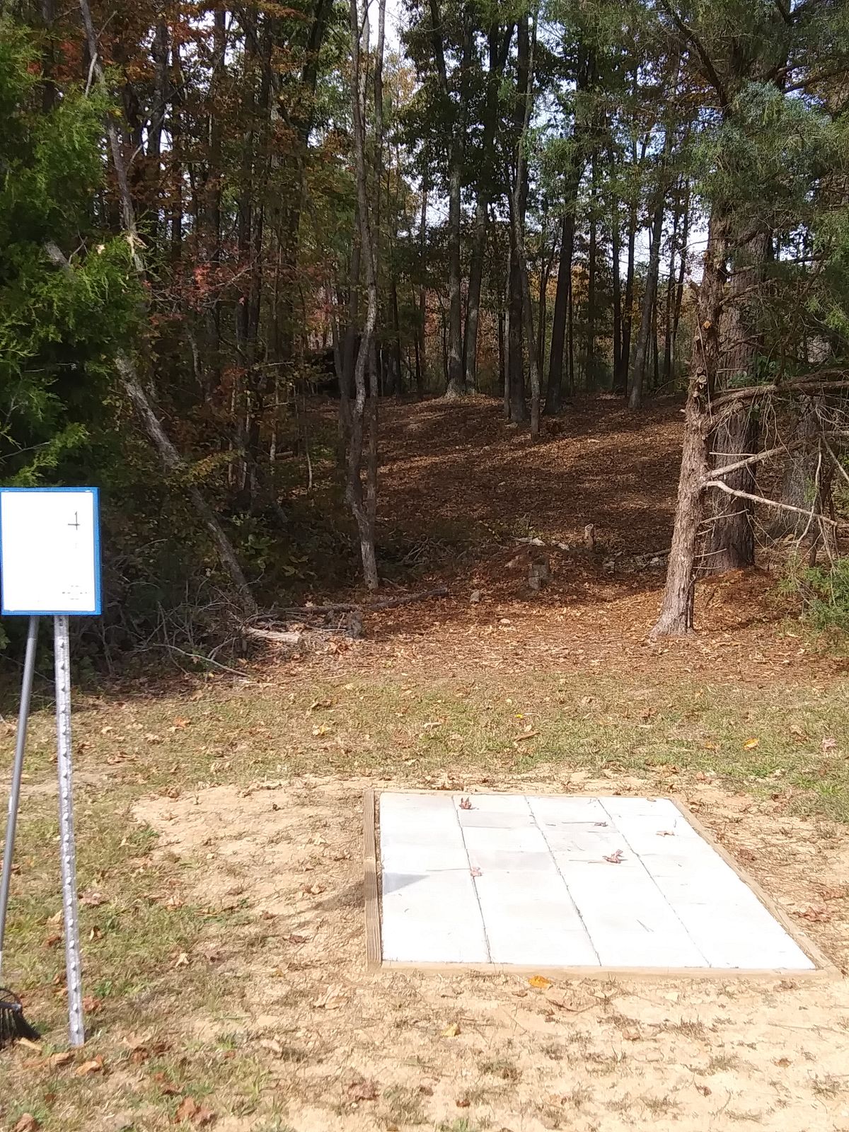 Hole 4