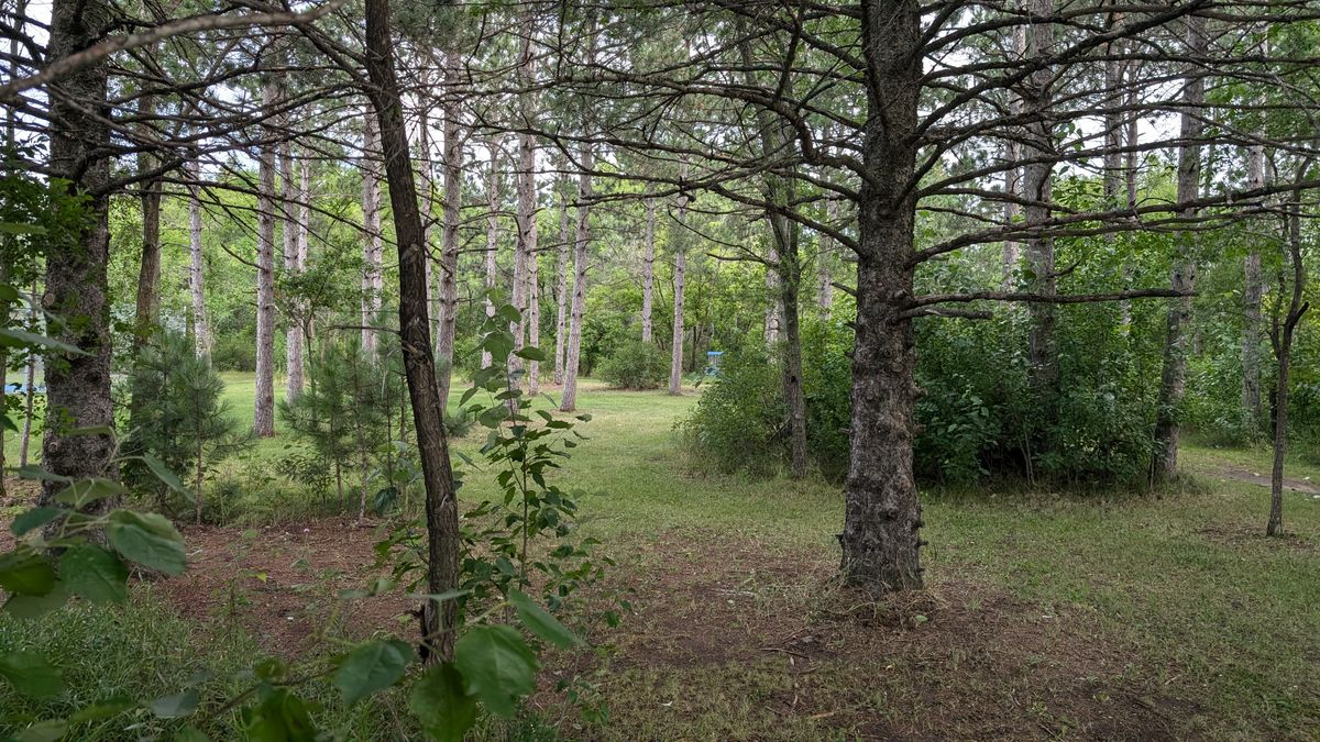 Hole 17, left side opening