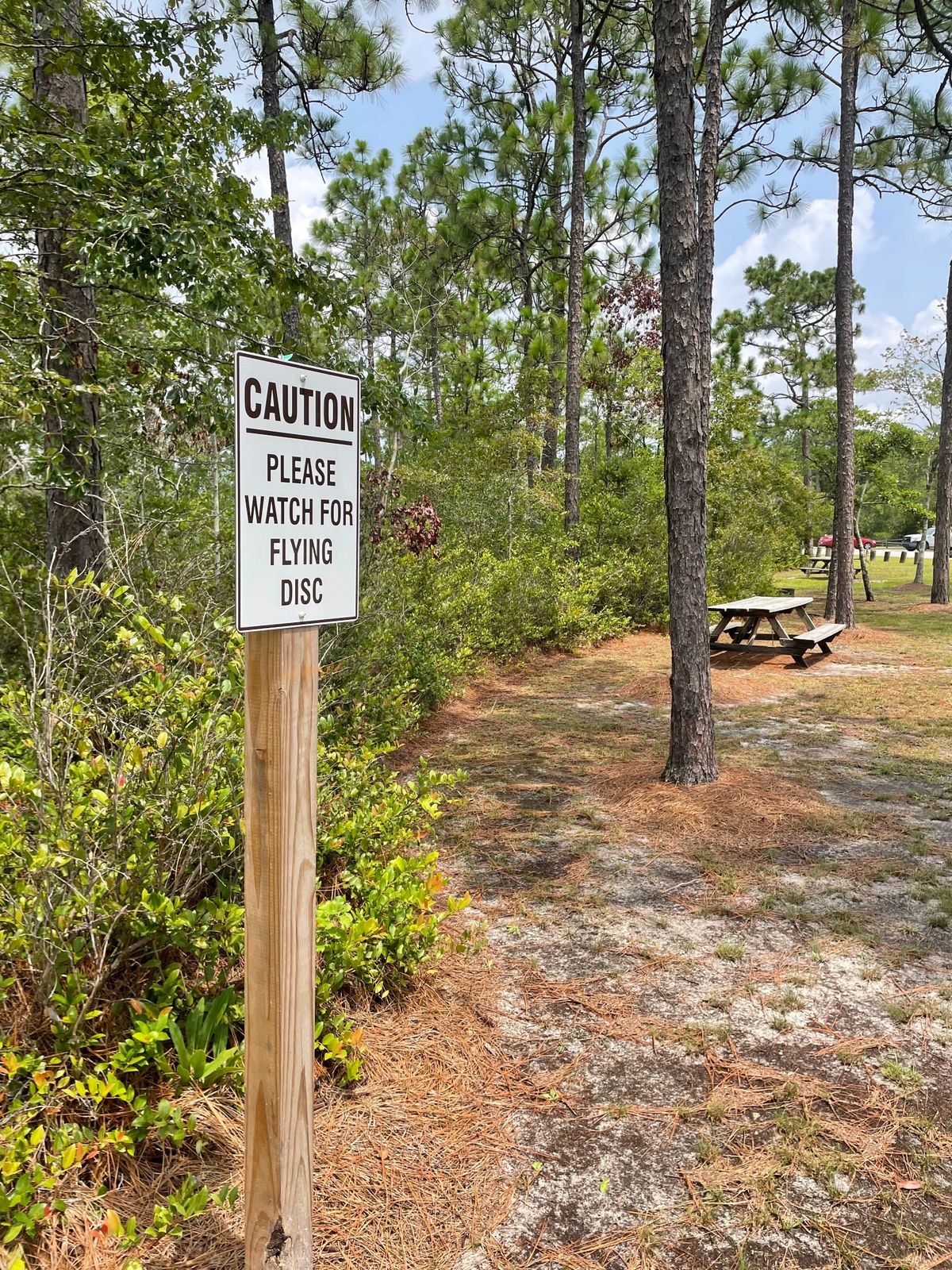 Between Hole 1 basket and Hole 2 tee pad