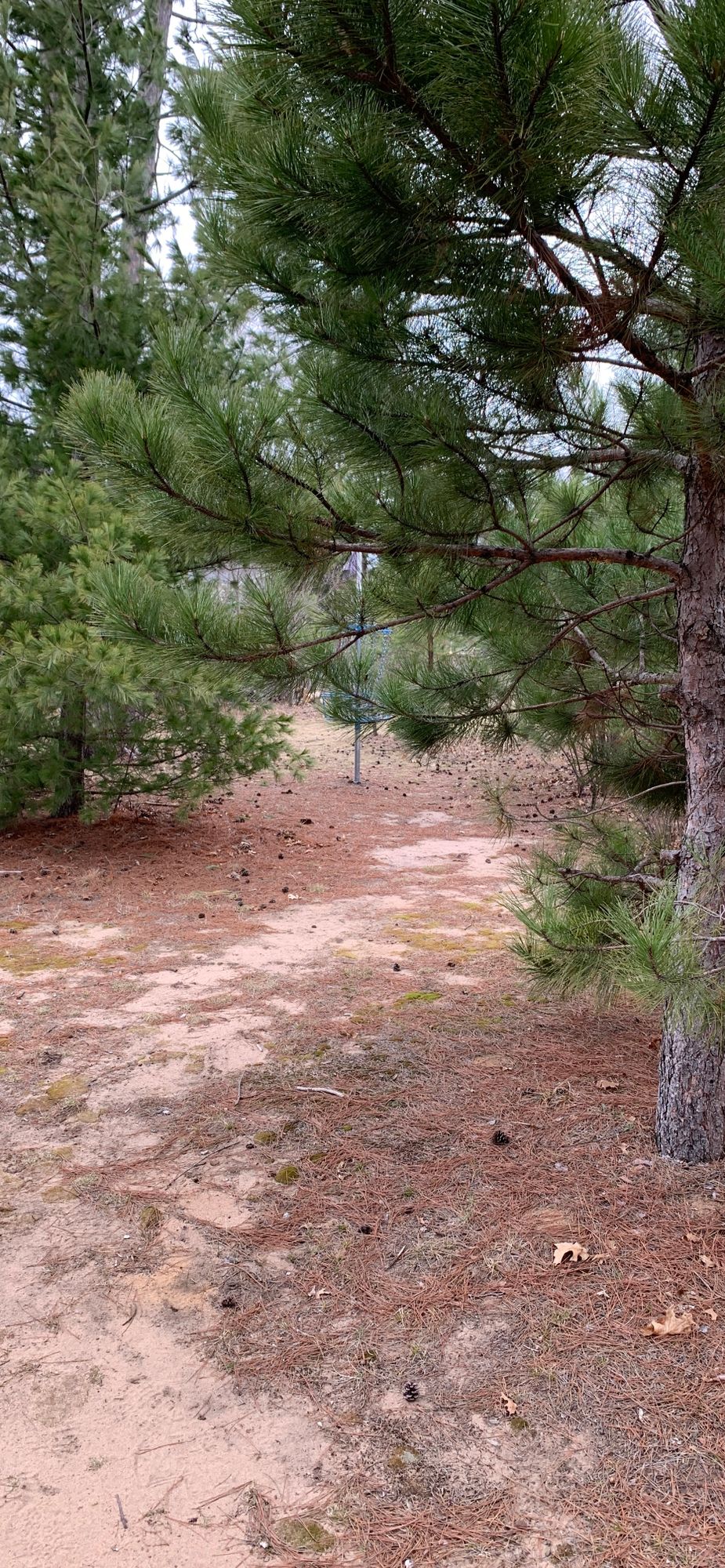 Yeah, this is the “fairway” on hole 2.