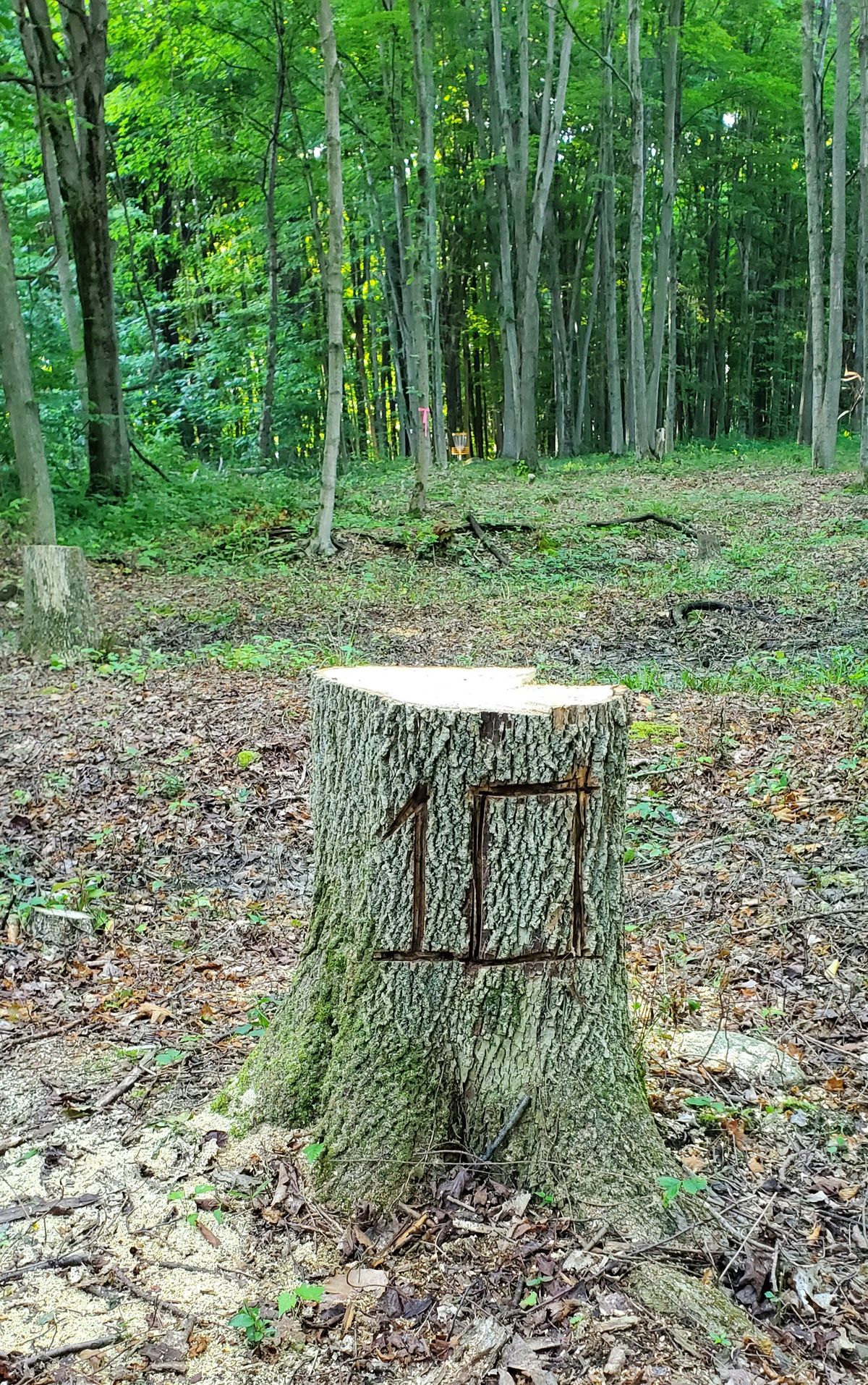 In case you forgetyour on the 10th fairway.