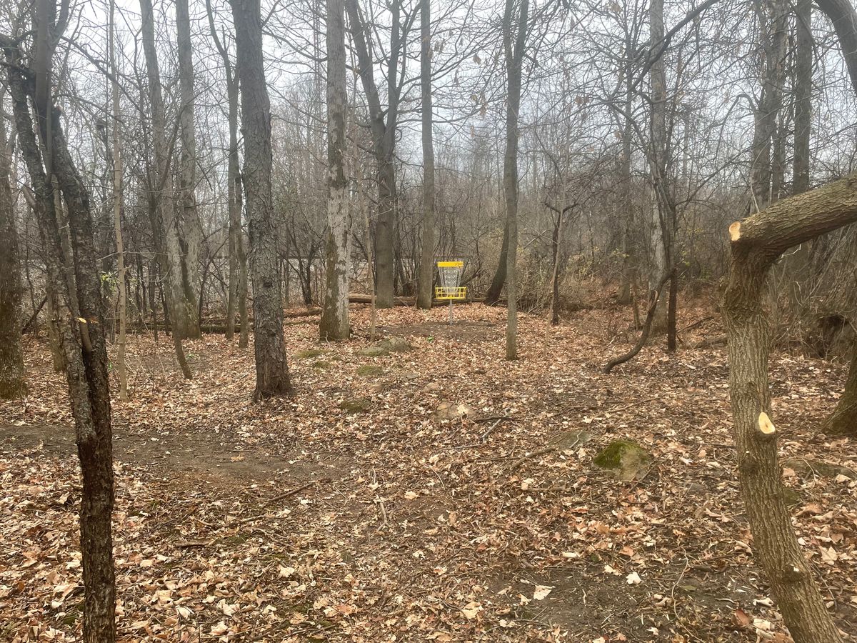 Basket for hole 14