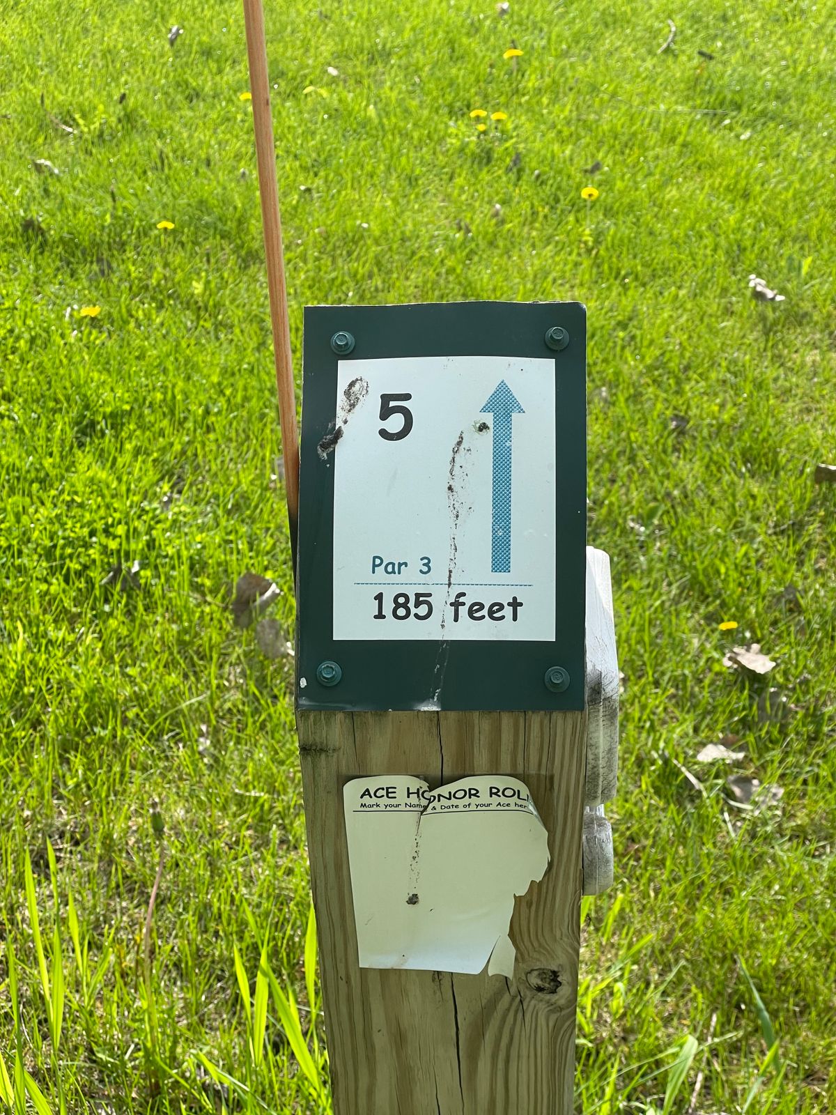 Hole 5 is a huge ace chance