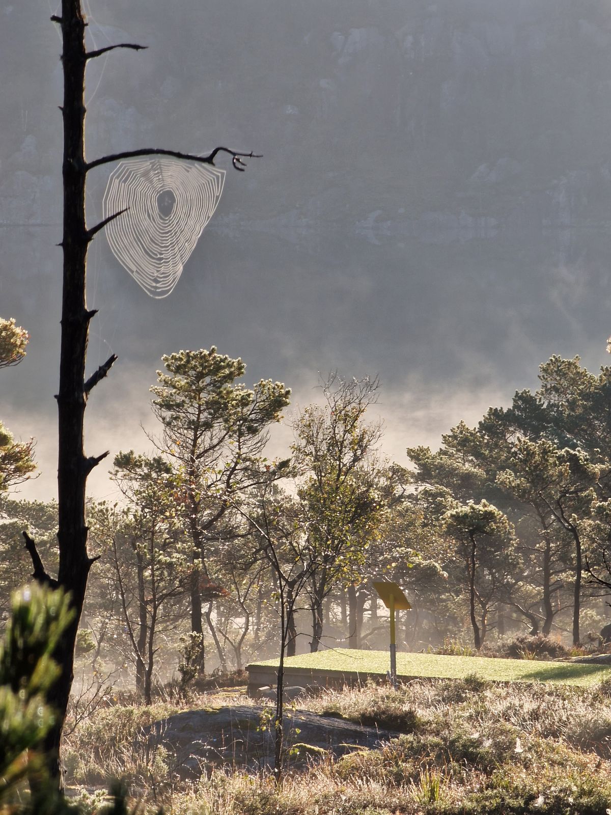 Teepad view at hole 13