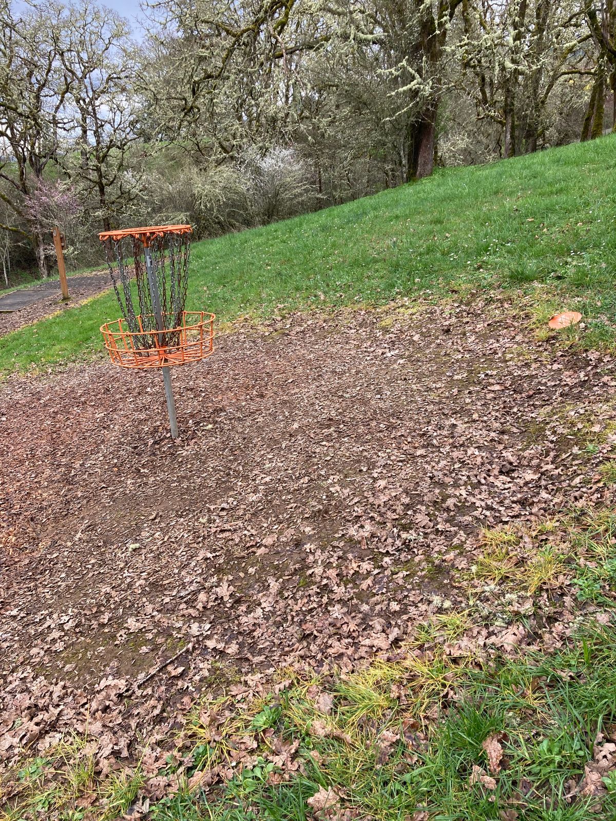 Hole 1