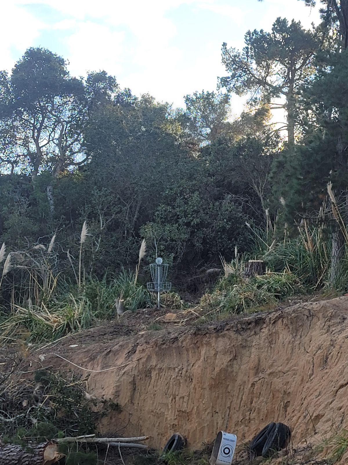Hole 8
