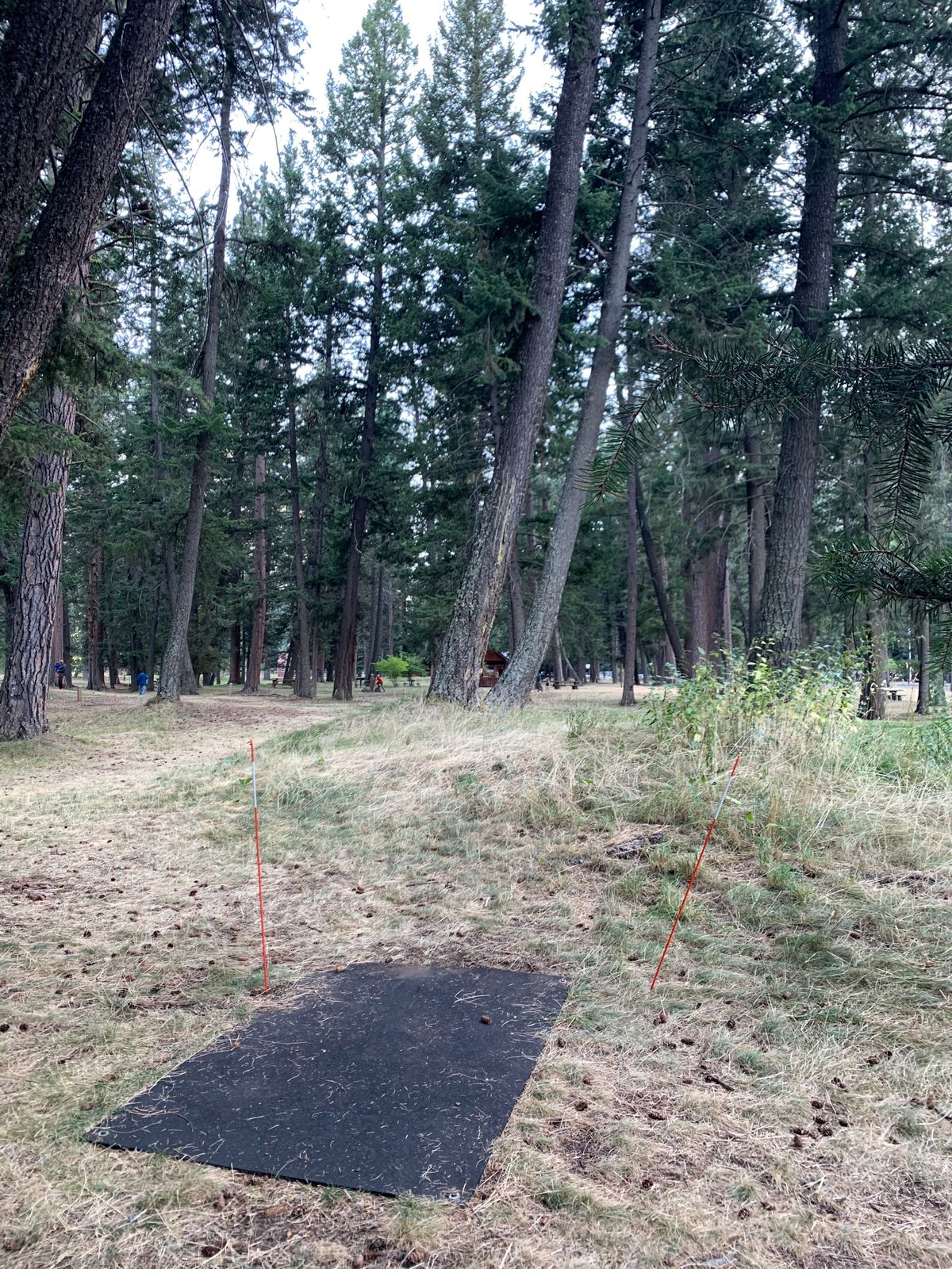 Hole #8