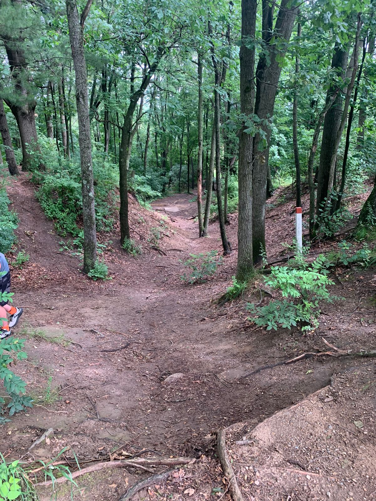 Hole 1 View from Basket back to Tee