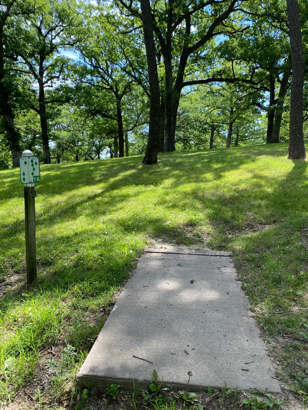 Hole 16 Tee