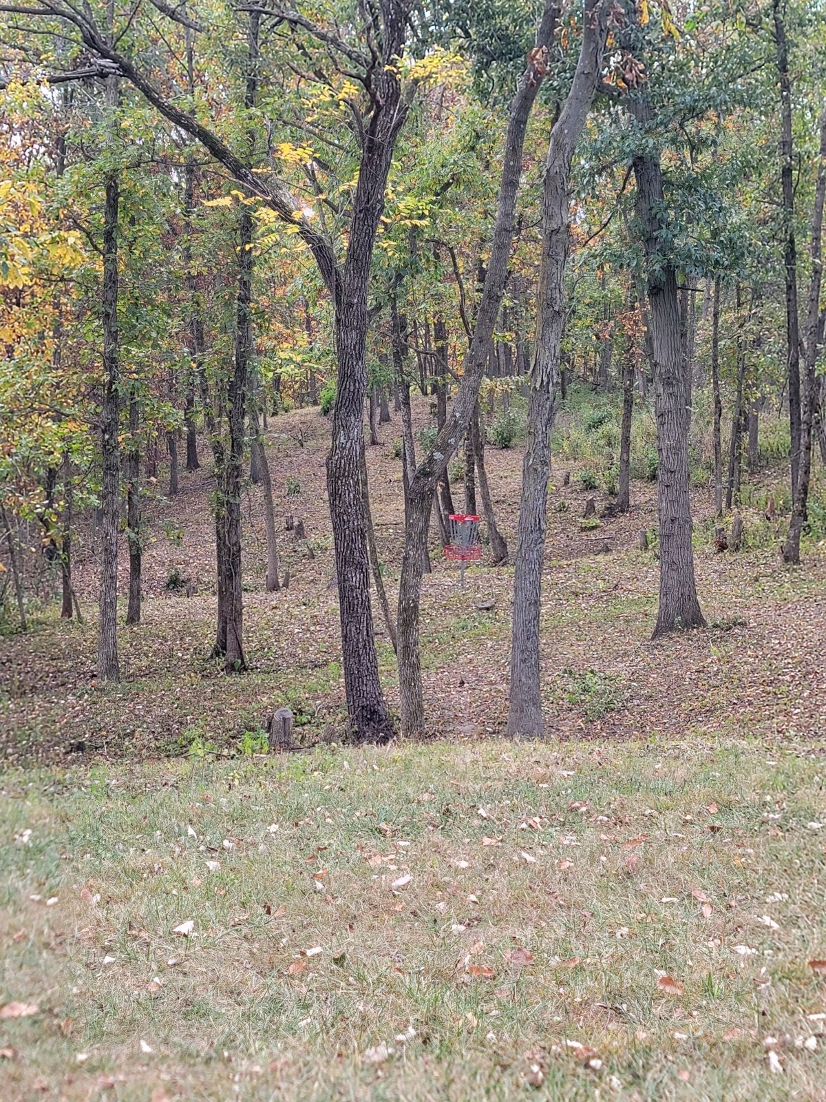 Hole 5 - A pin