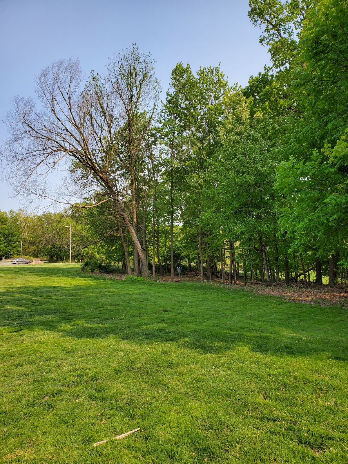 Fairway to basket.