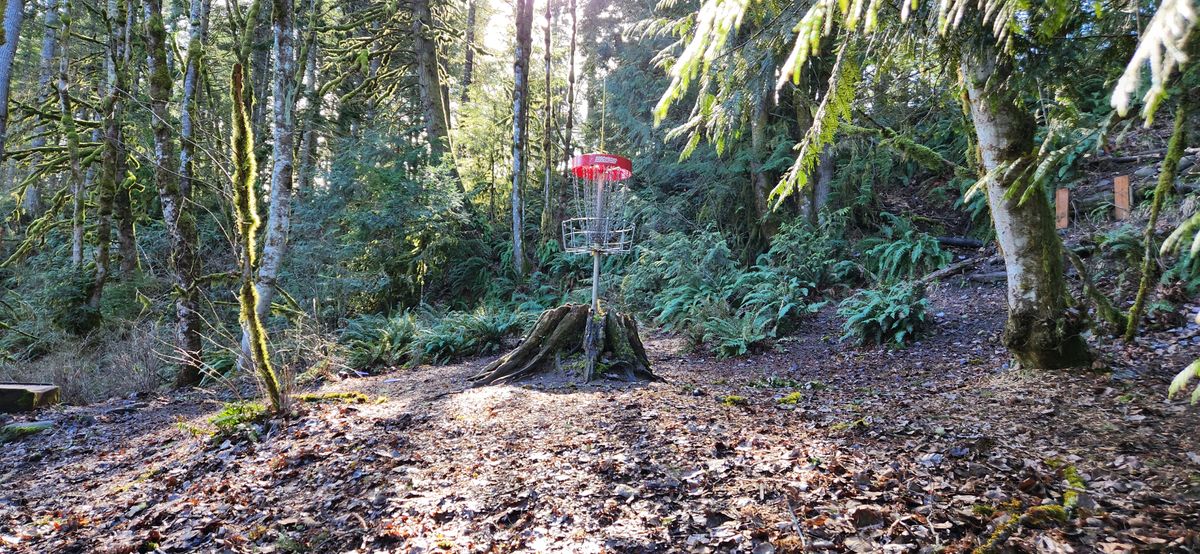 Milo hole 6