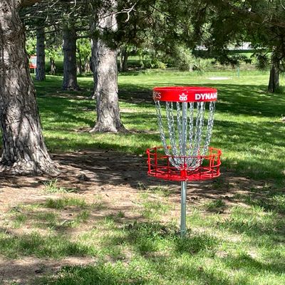 #5 Basket “The Cash Slot”