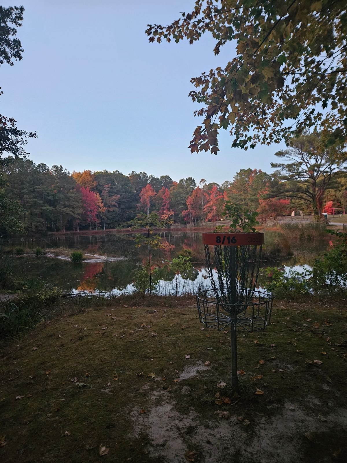Shared basket of hole 8 and 16 from the perspective of hole 8 during the fall