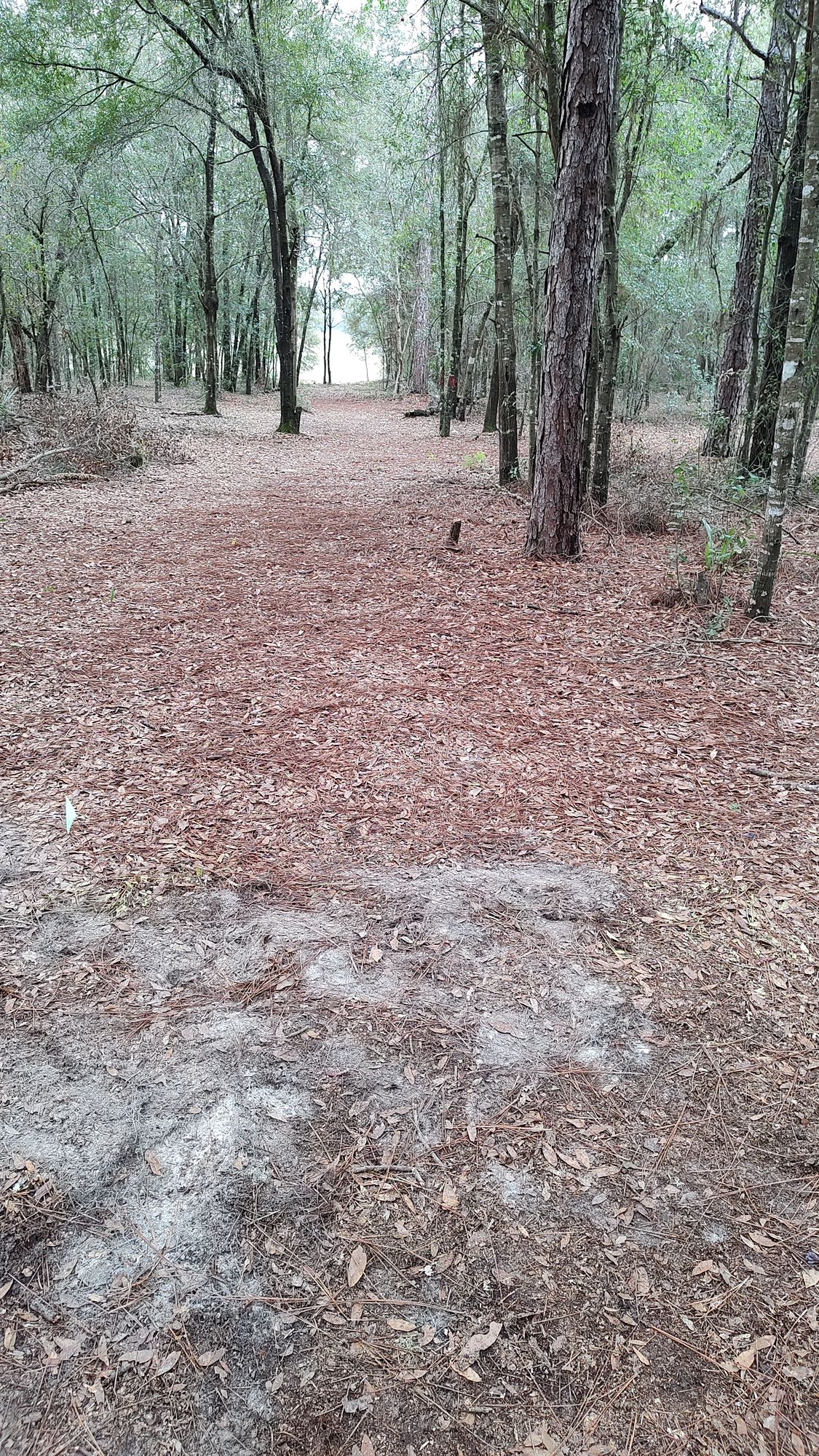 Hole 3