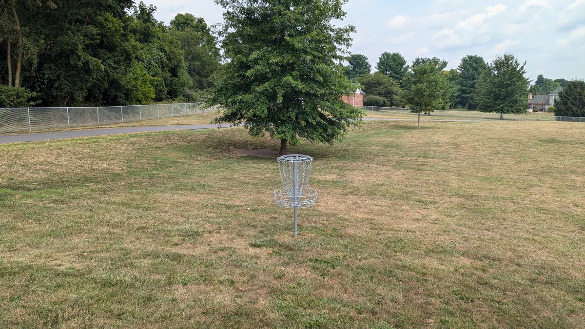Hole 9 from basket.