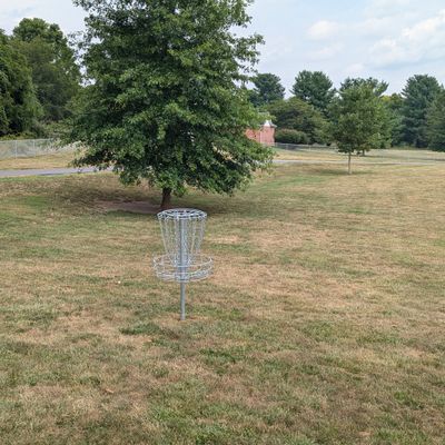 Hole 9 from basket.