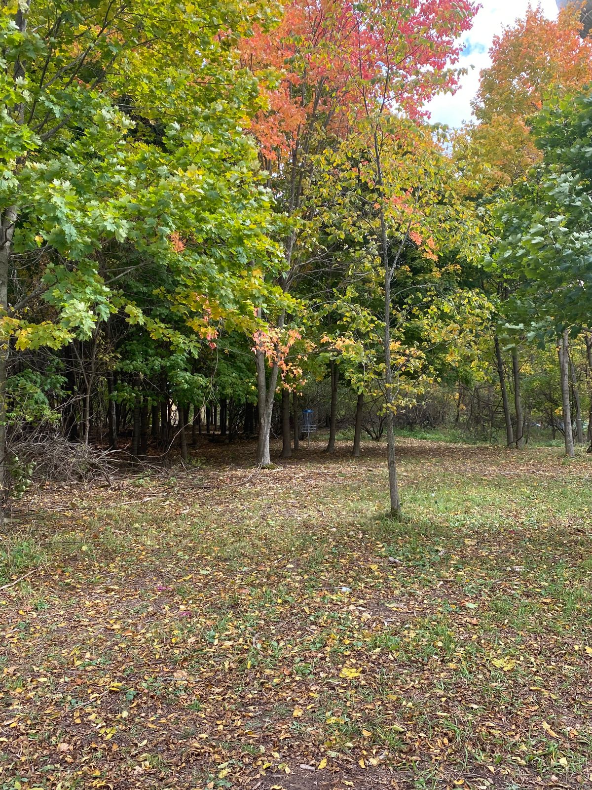 Hole 10 basket