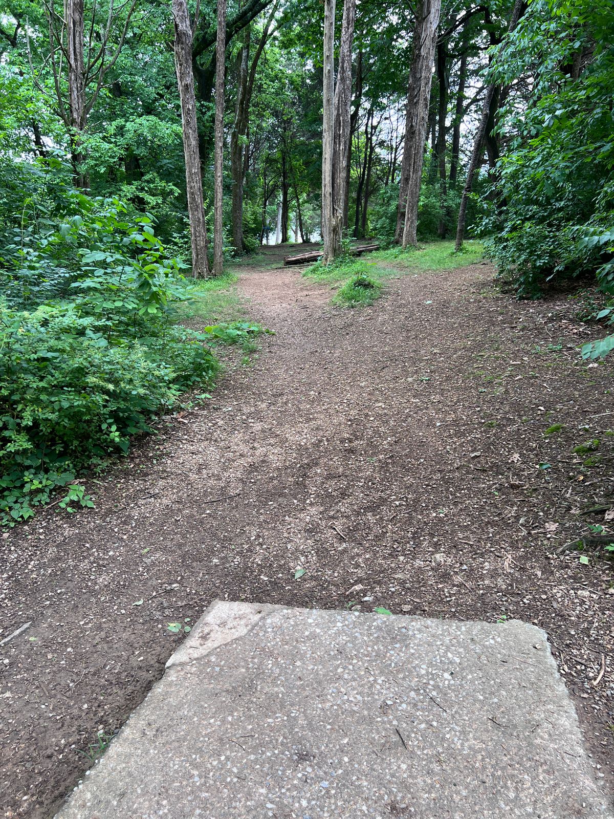Hole 1 from short tee pad