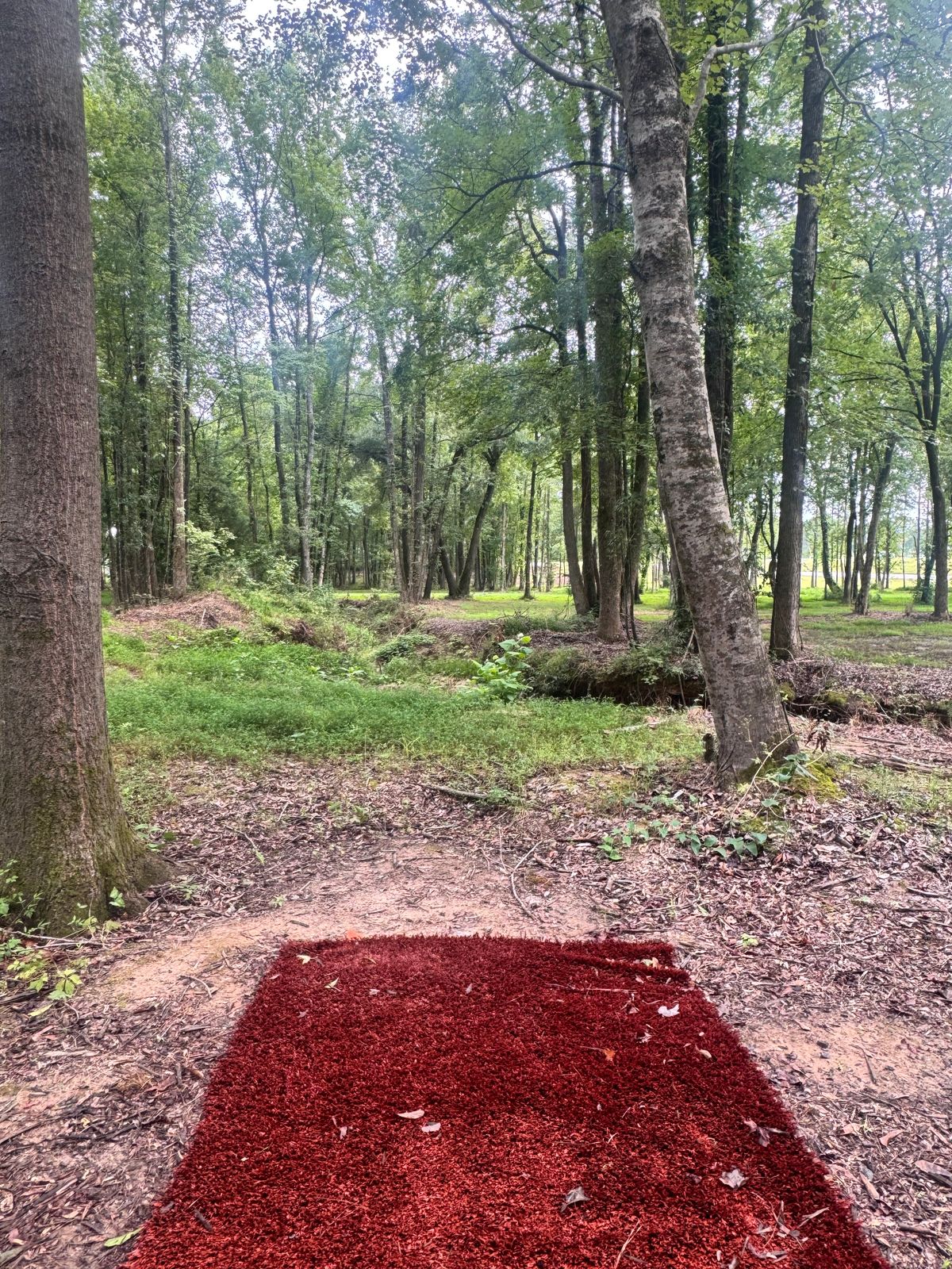Hole 17 A pad