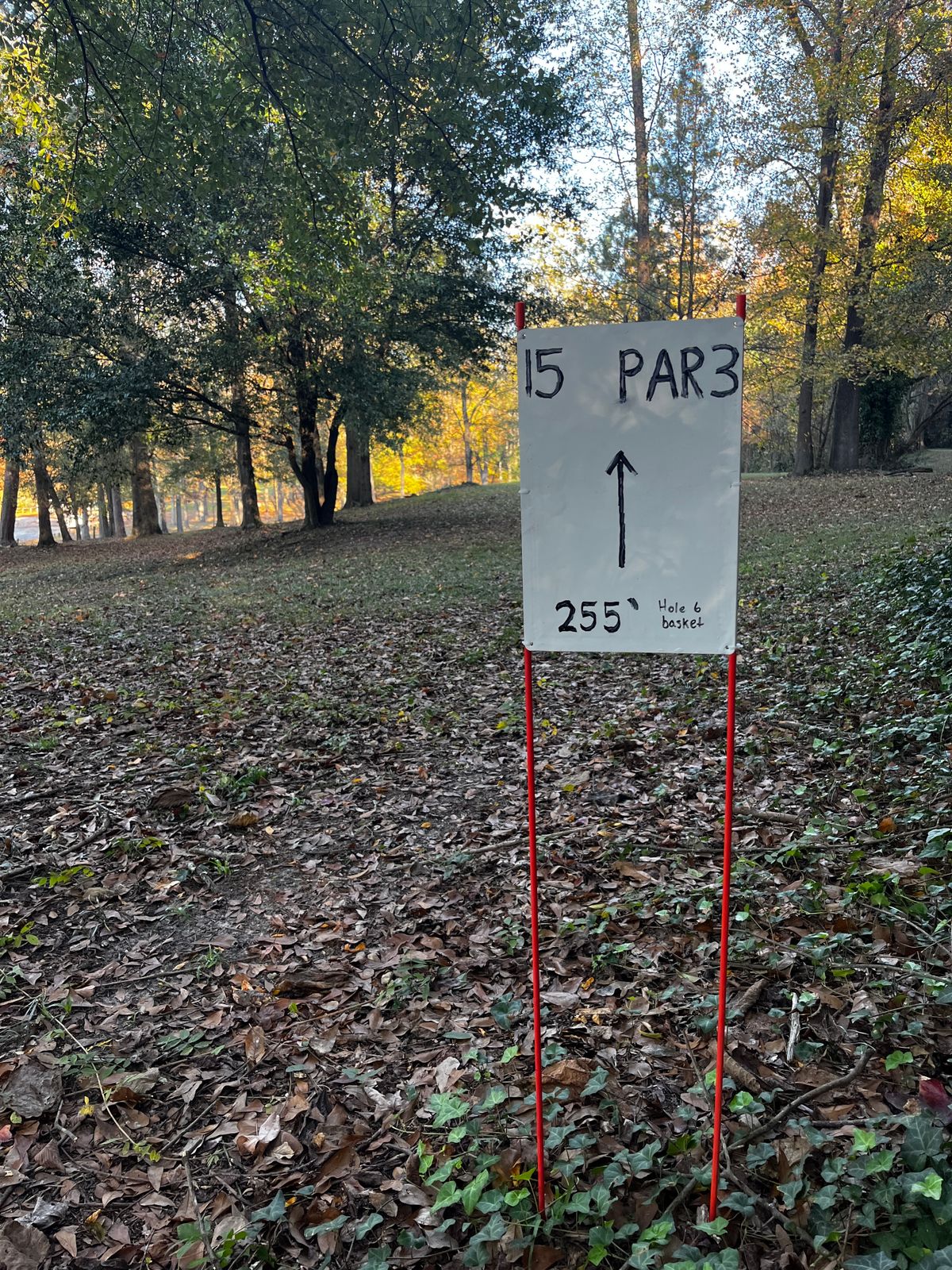 Hole 15