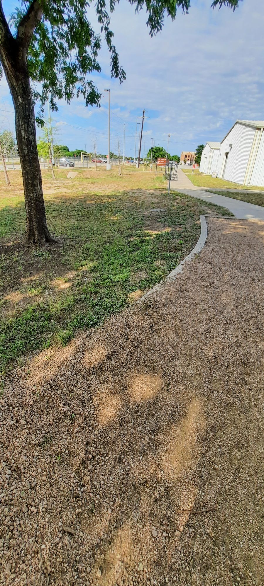 Hole 6 basket