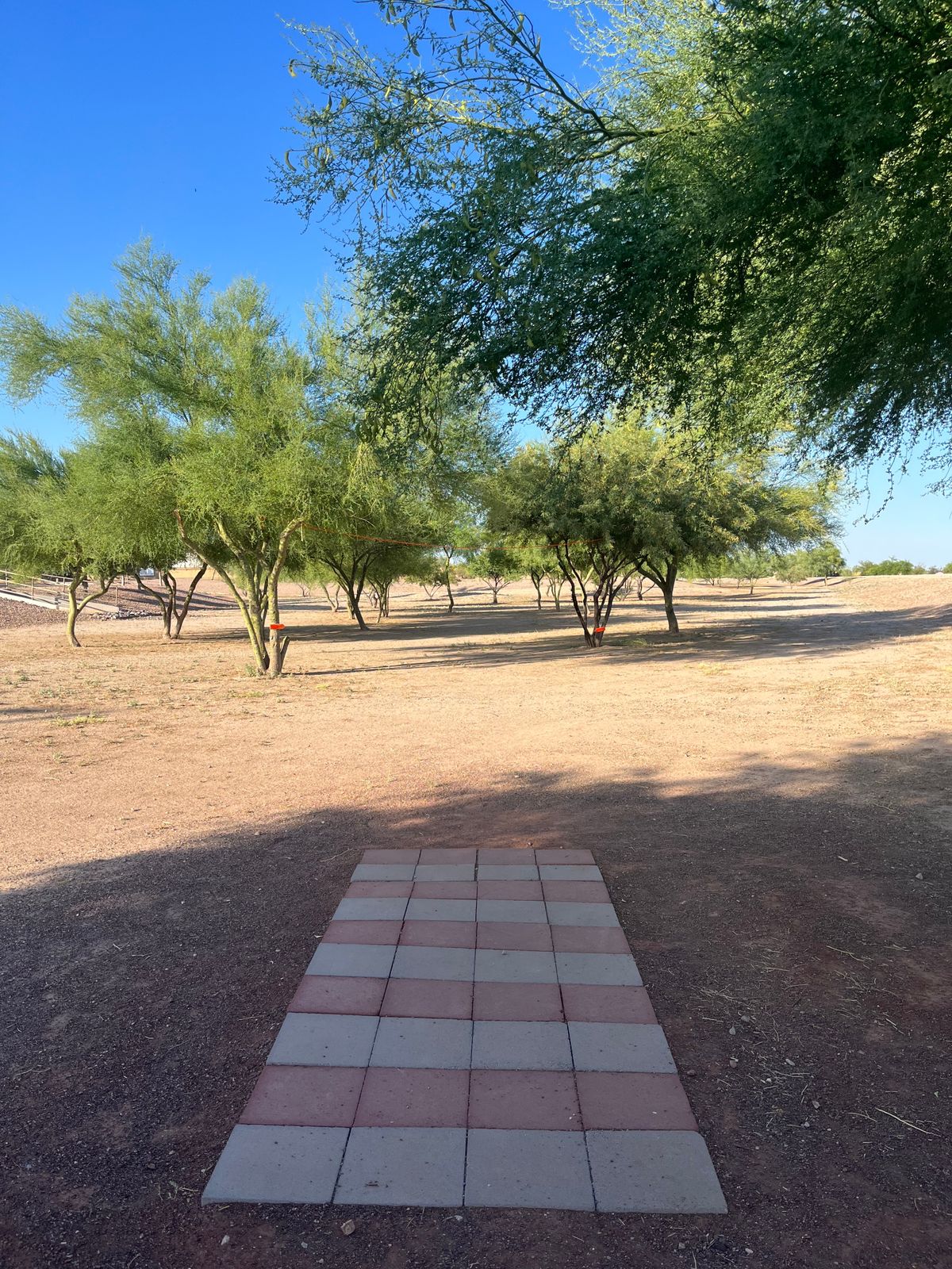 Hole 3 tee pad