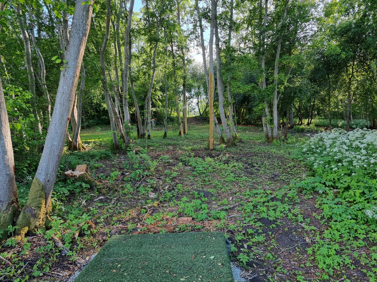 Hole 8 (Mando)