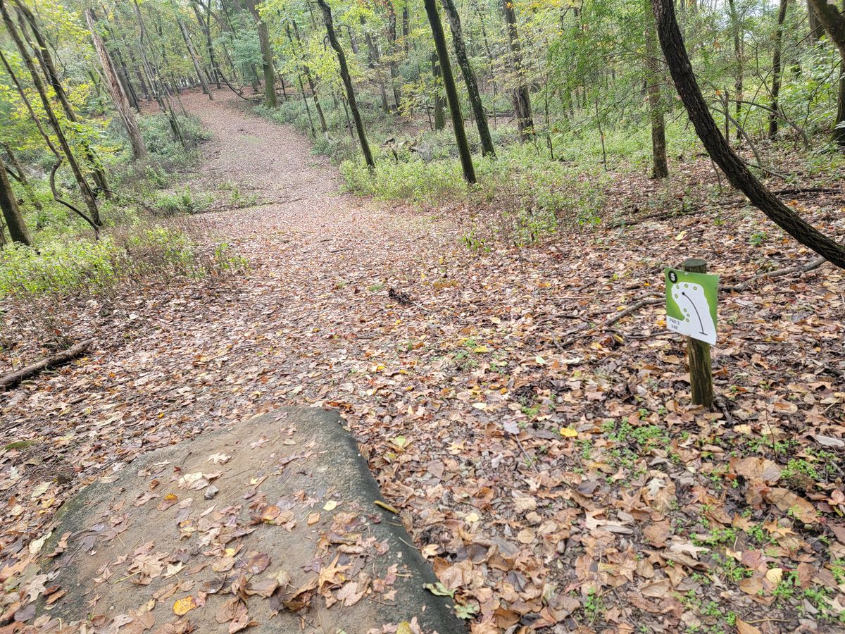 Hole 5
