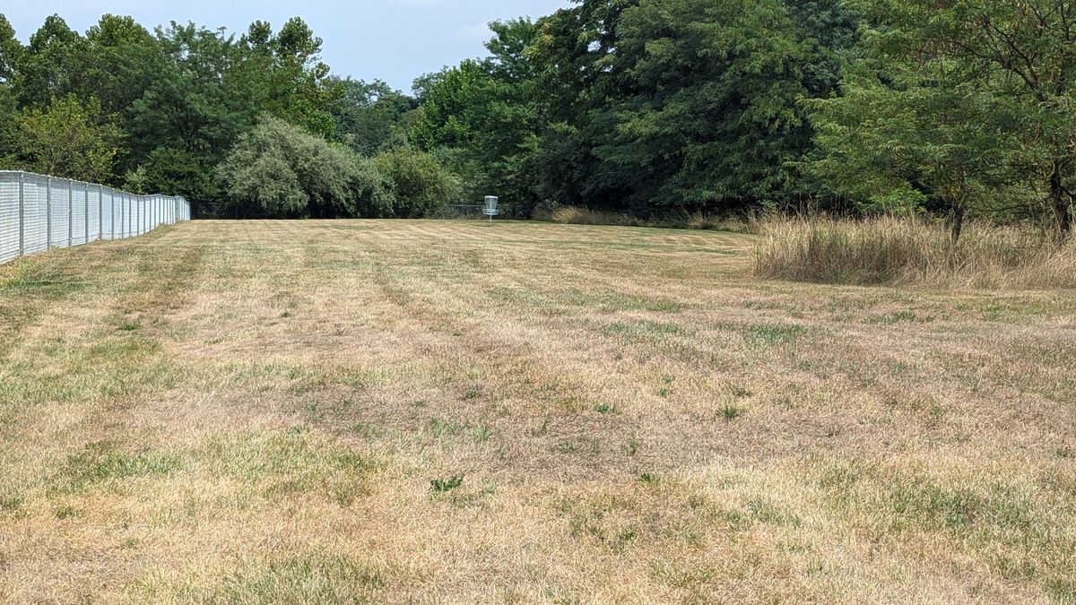 Hole 5 from tee.