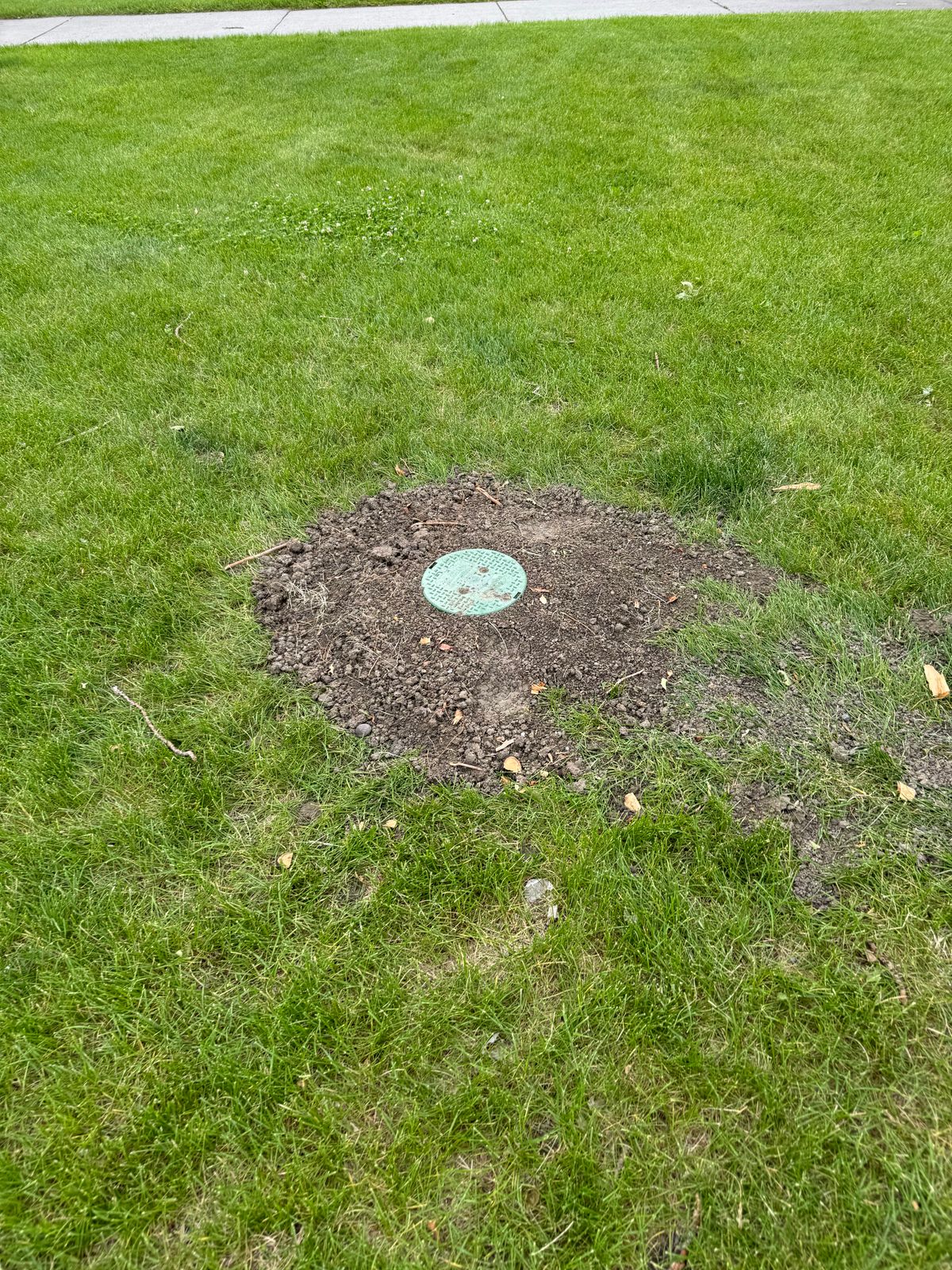 Irrigation cover over basket pin location.