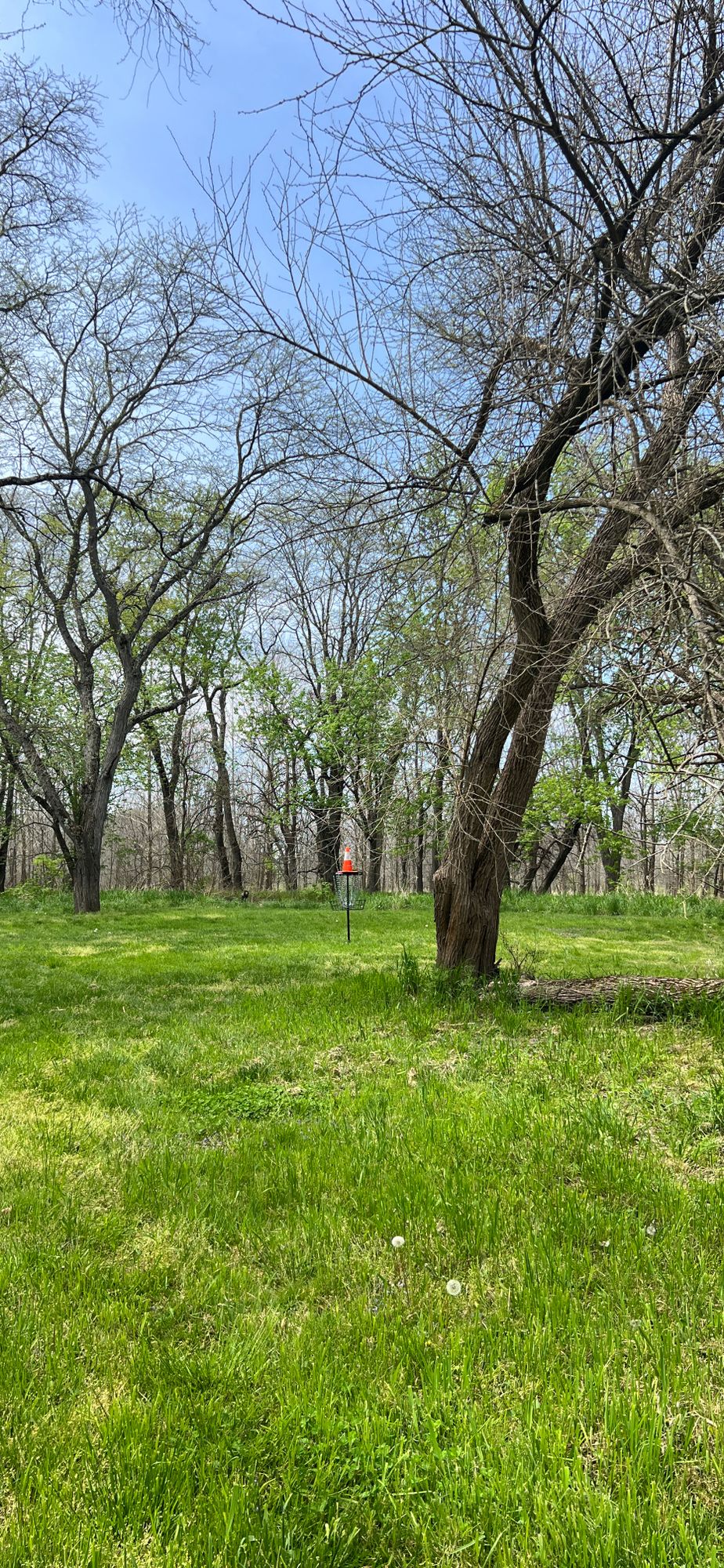 Hole 7