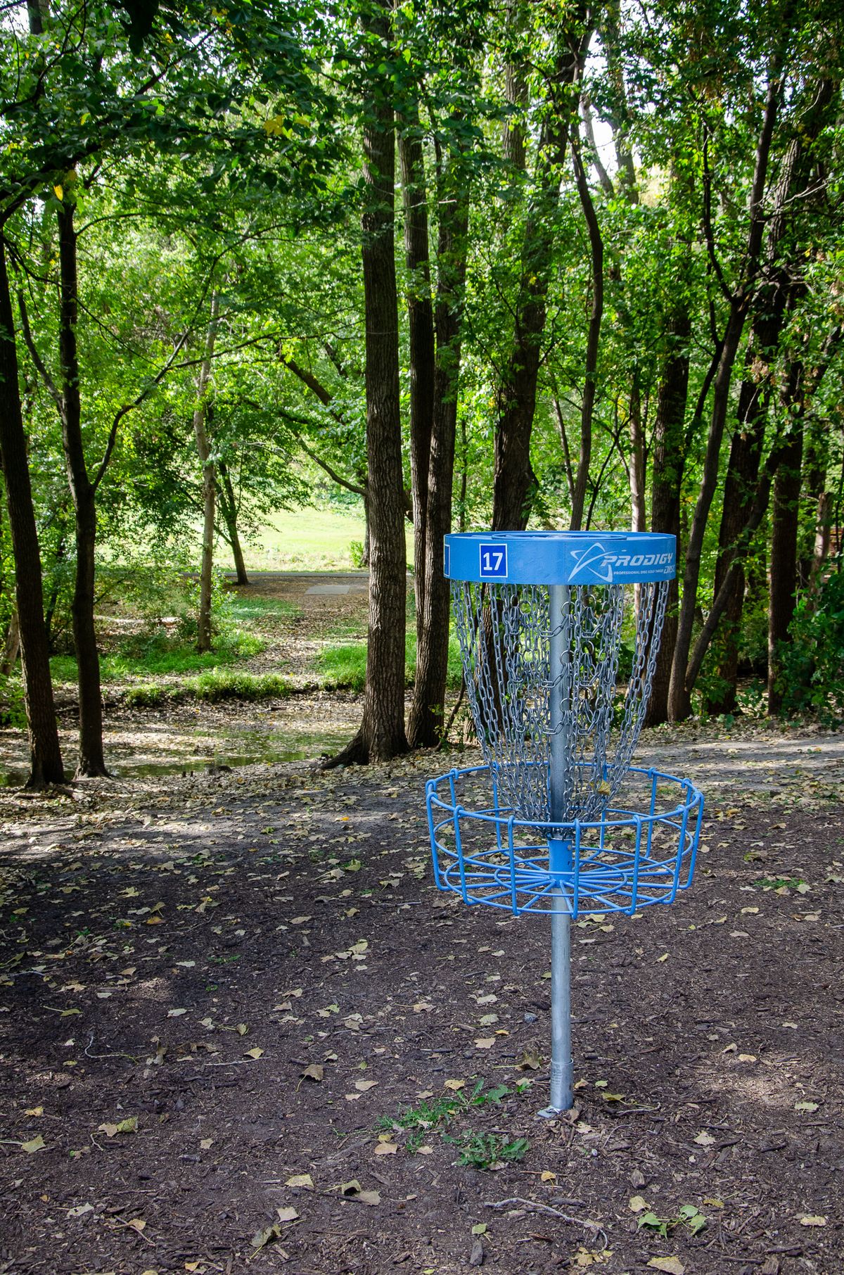 17 looking back at the tee from behind the basket