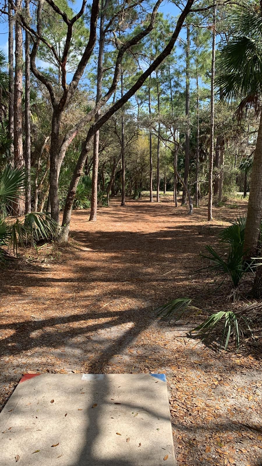 Hole #18