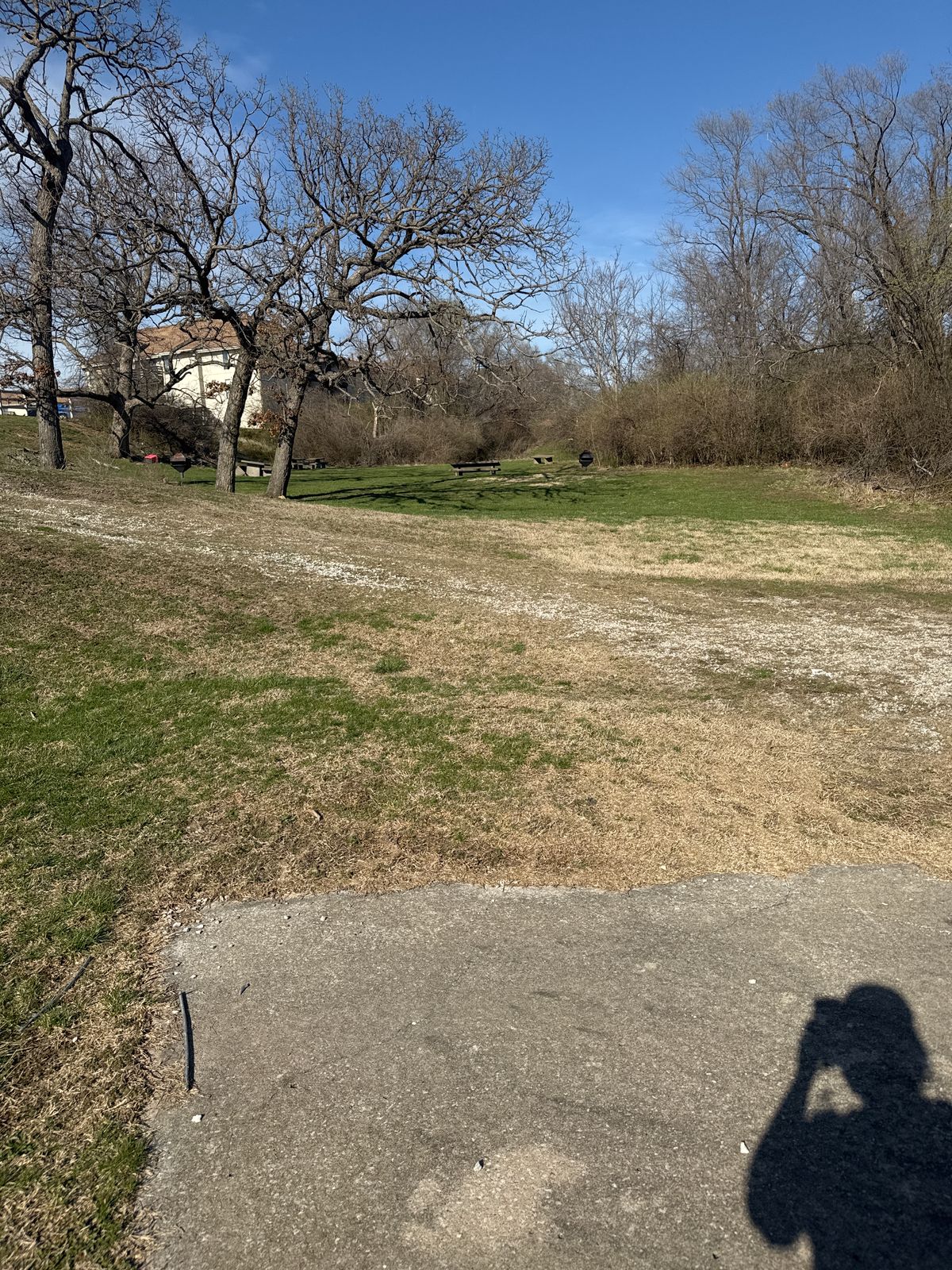 Hole 1 basket bottom of hill.