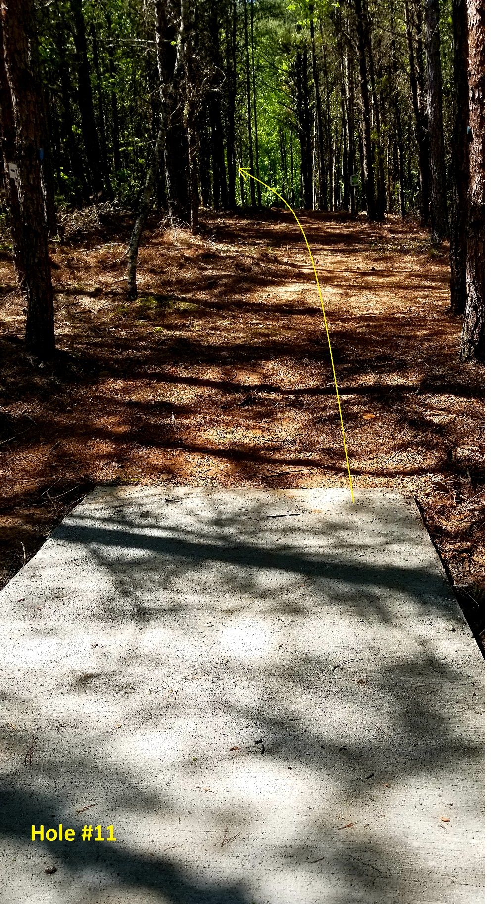 Hole #11- fairway has been widened since picture