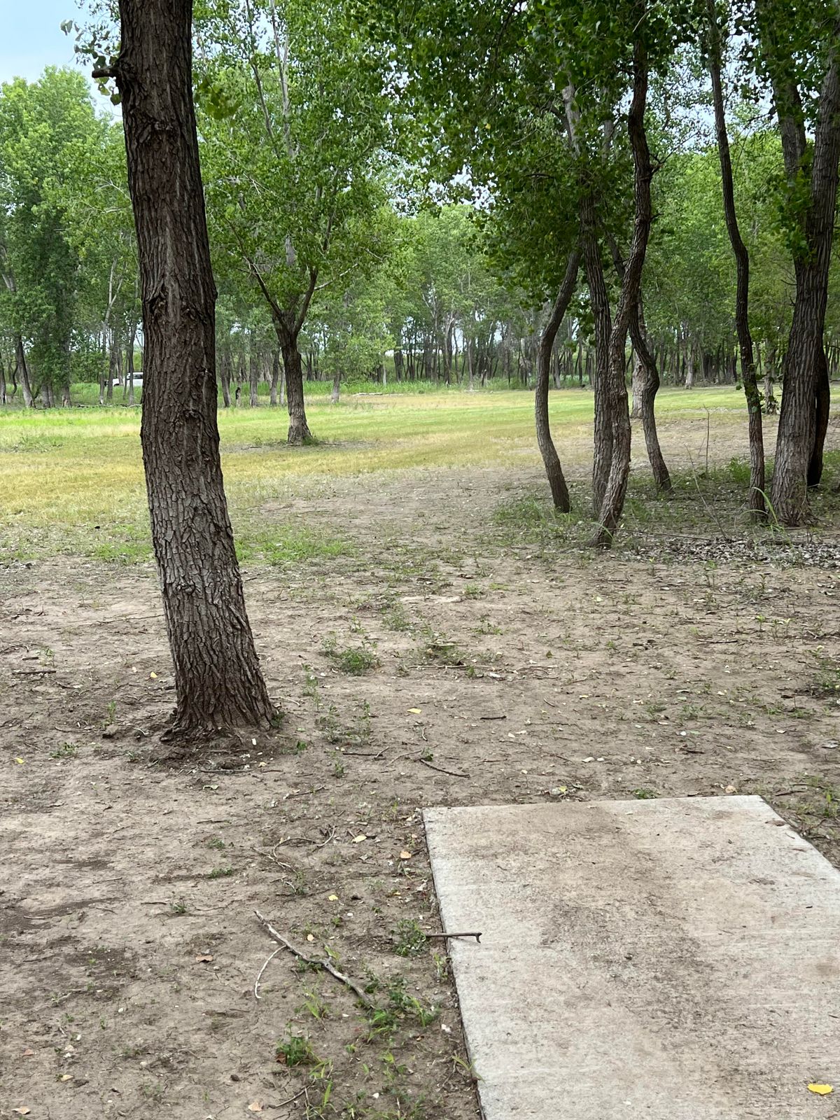 Hole 12