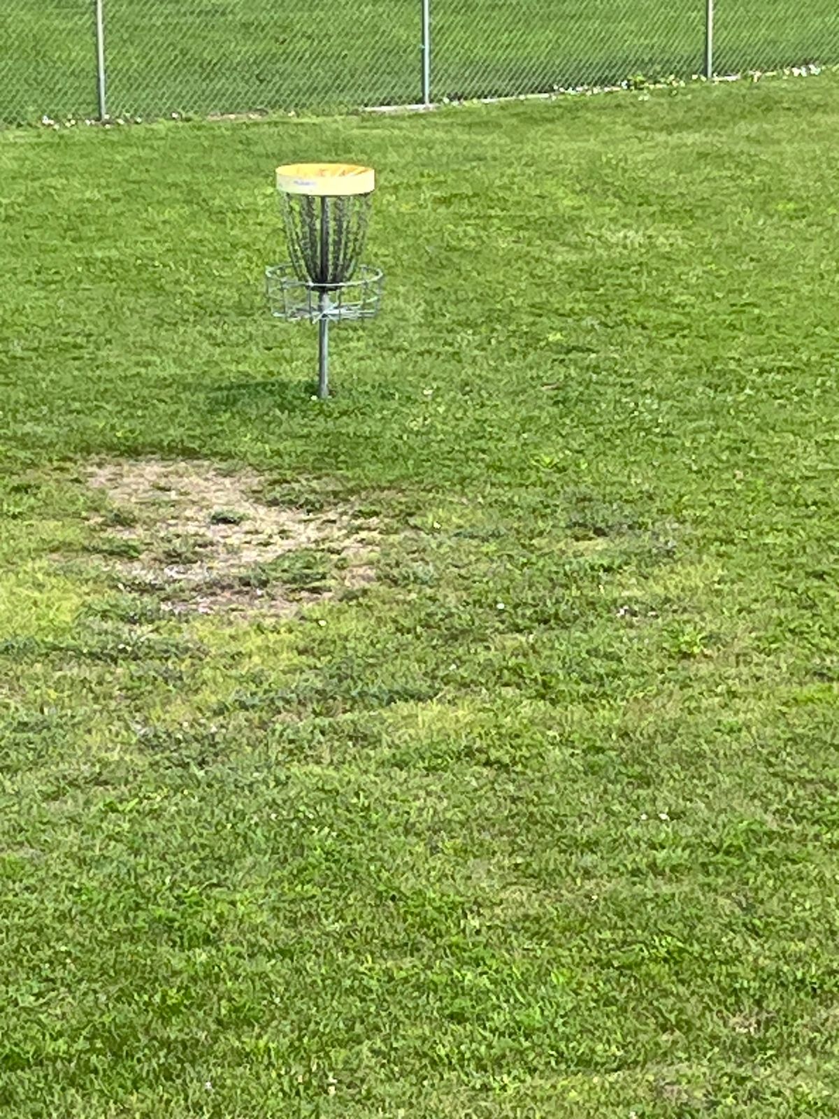 Hole 7 basket